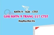 Giải KHTN 9 trang 117 Chân trời sáng tạo SGK